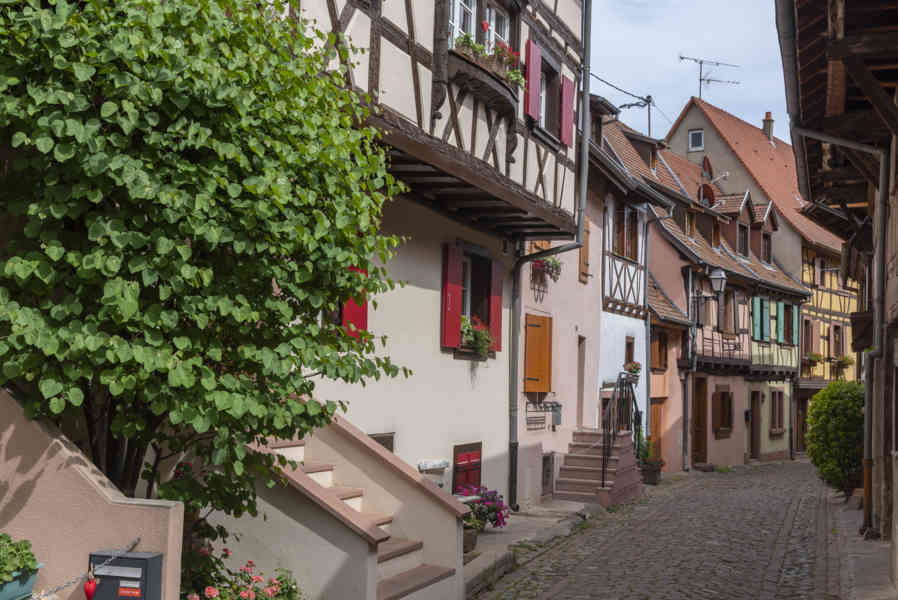 Francia - Alsacia 235 - Eguisheim.jpg